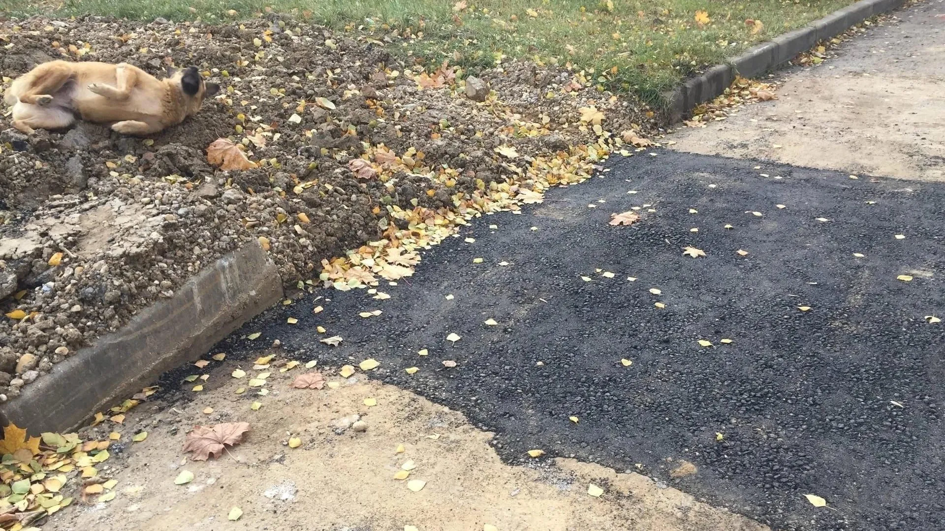 Фото соцсети.