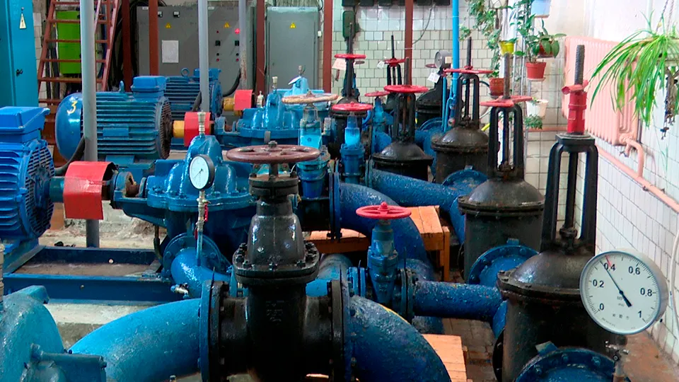 Фото: МедиаБанк Подмосковья/Ксения Казакова