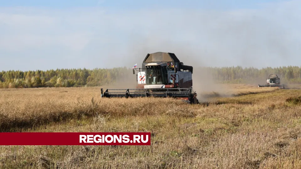 Фото: Владимир Останин