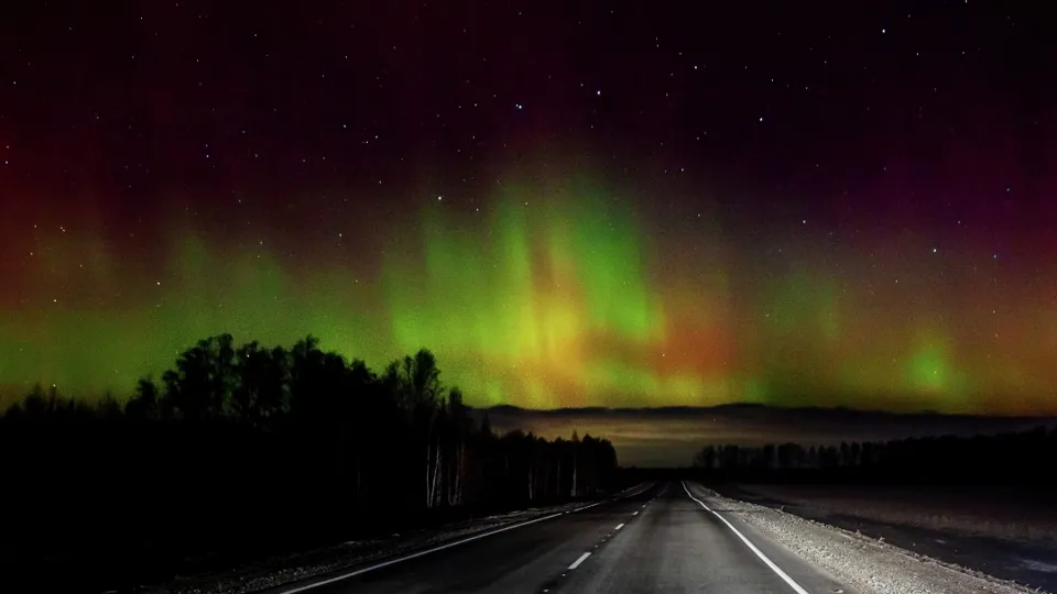 Фото: РИА Новости/Андрей Попов