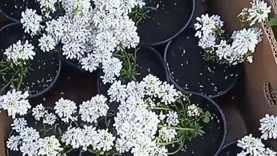 Фото: REGIONS/Наталья Фомина