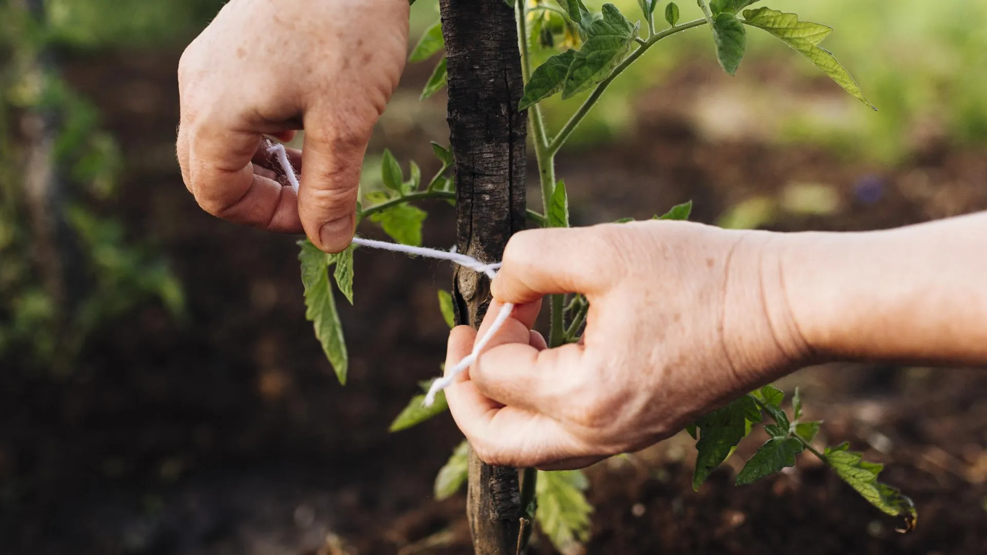 Изображение от Freepik