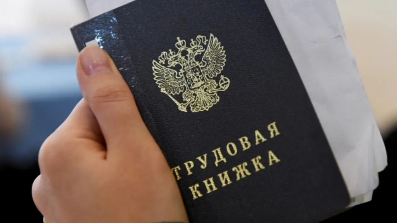 Всероссийскую ярмарку трудоустройства проведут на 28 площадках в Подмосковье
