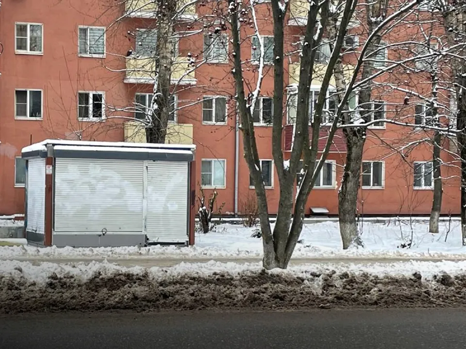 Фото: пресс-служба администрации г.о. Домодедово