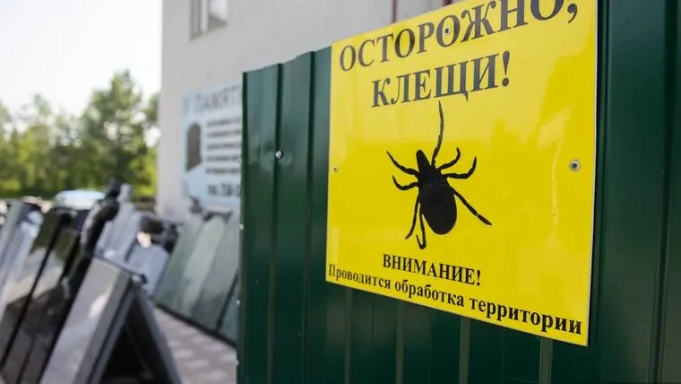 В Свердловской области активизировались клещи