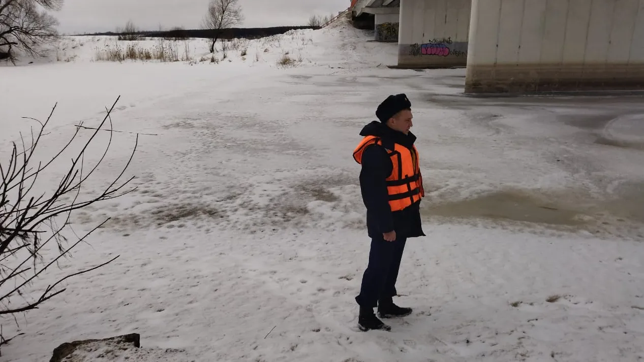 Источник: ГКУ "Мособлпожспас"