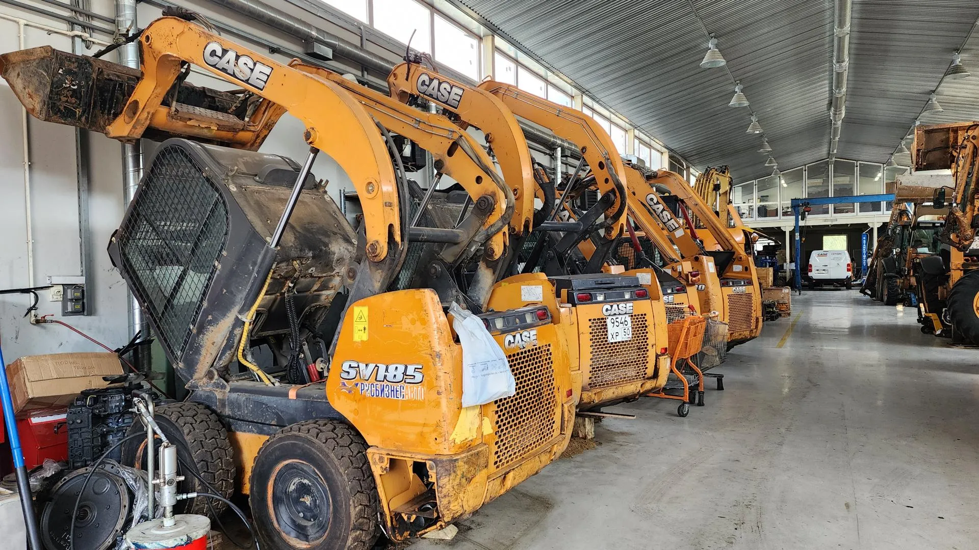 Фото: Ольга Фельдфебелева