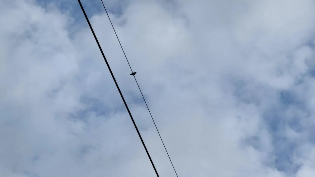 REGIONS/Илья Попов