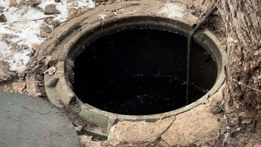 Фото: МедиаБанк Подмосковья/Светлана Плотникова