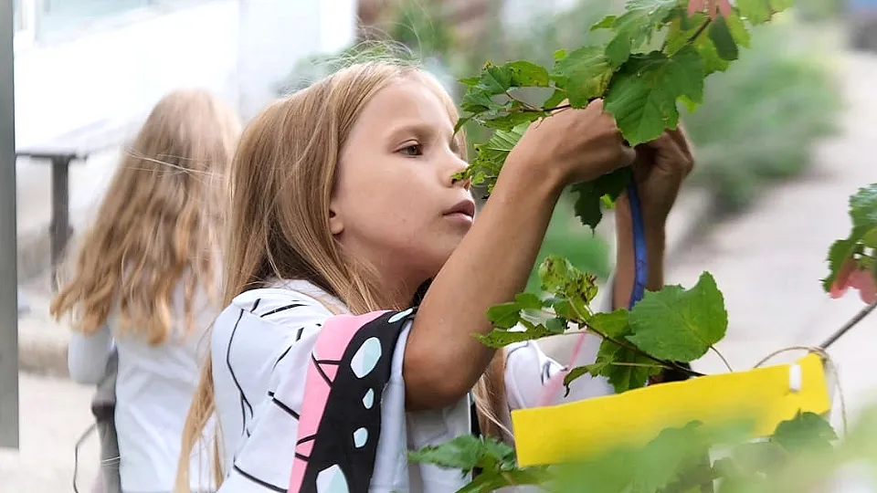 Фото: Мария Панина