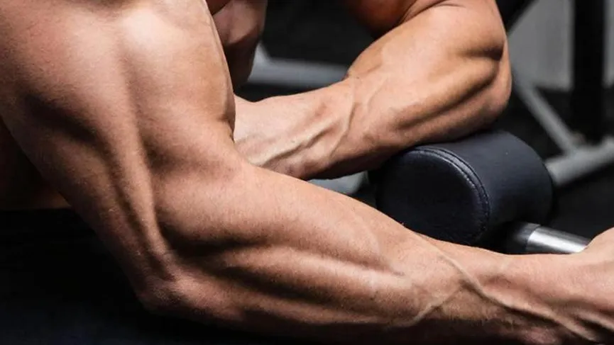 REGIONS/Сгенерировано нейросетью