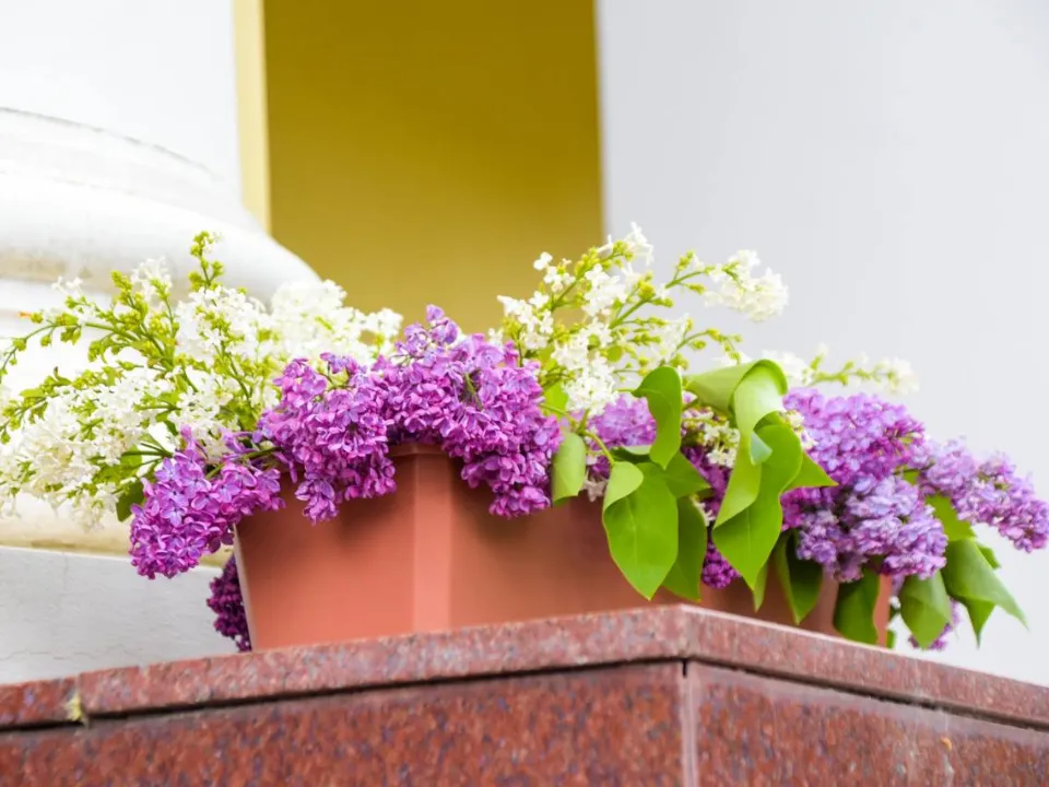 Фото: МедиаБанк Подмосковья/Галина Добрынина