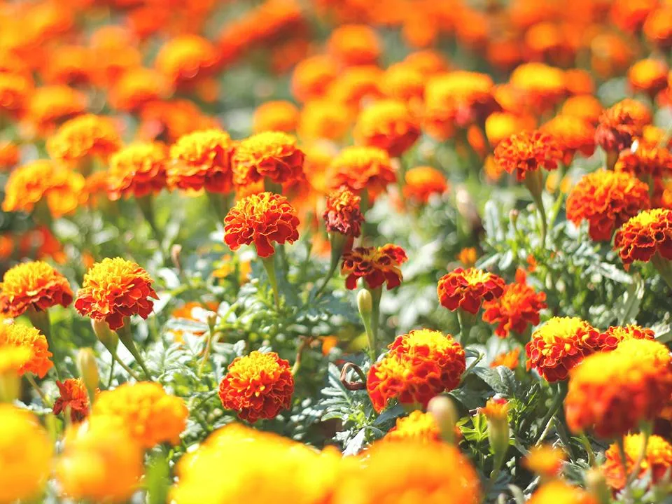 Фото: istockphoto.com