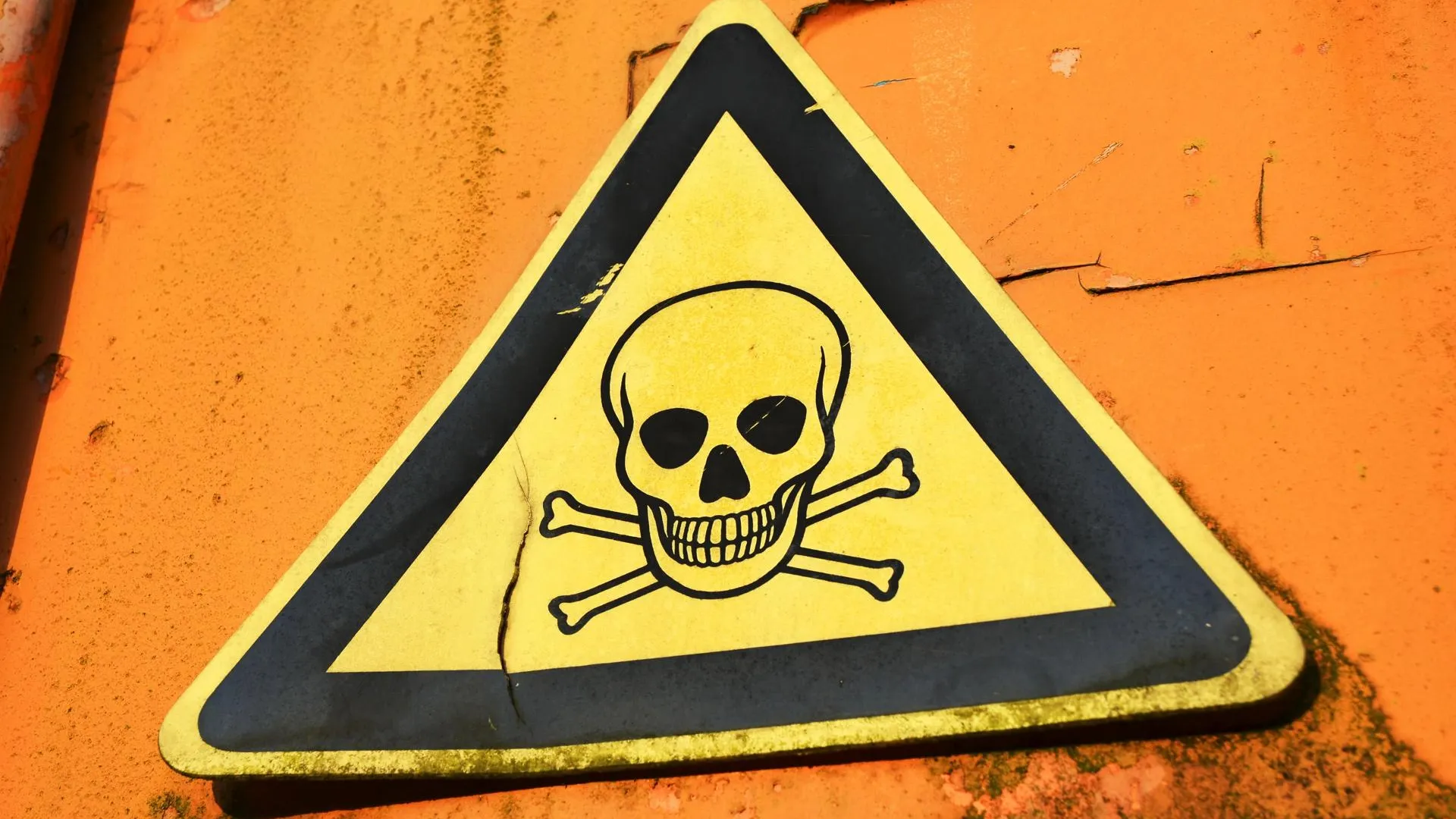 МедиаБанк Подмосковья