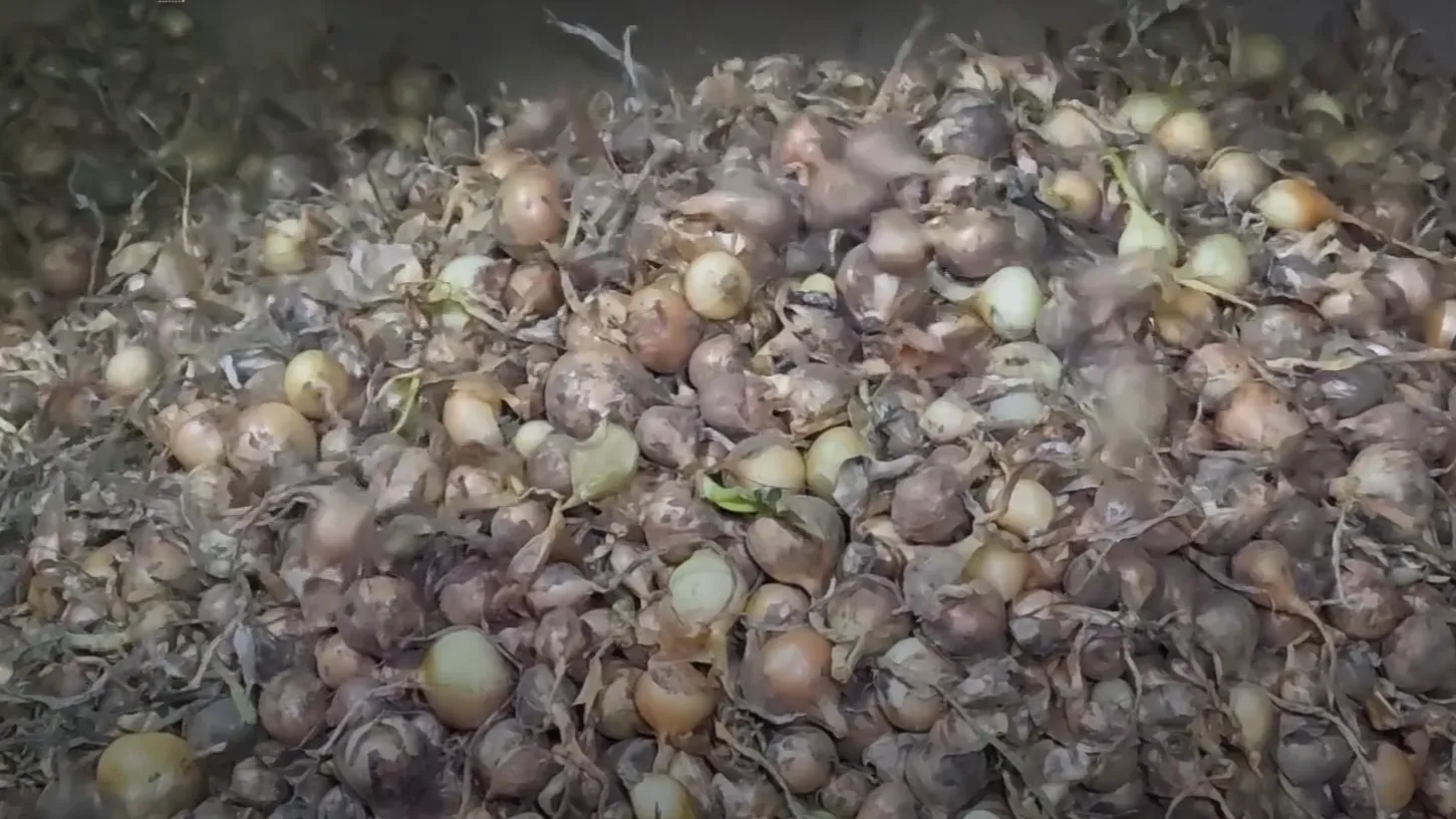 Телеканал 360