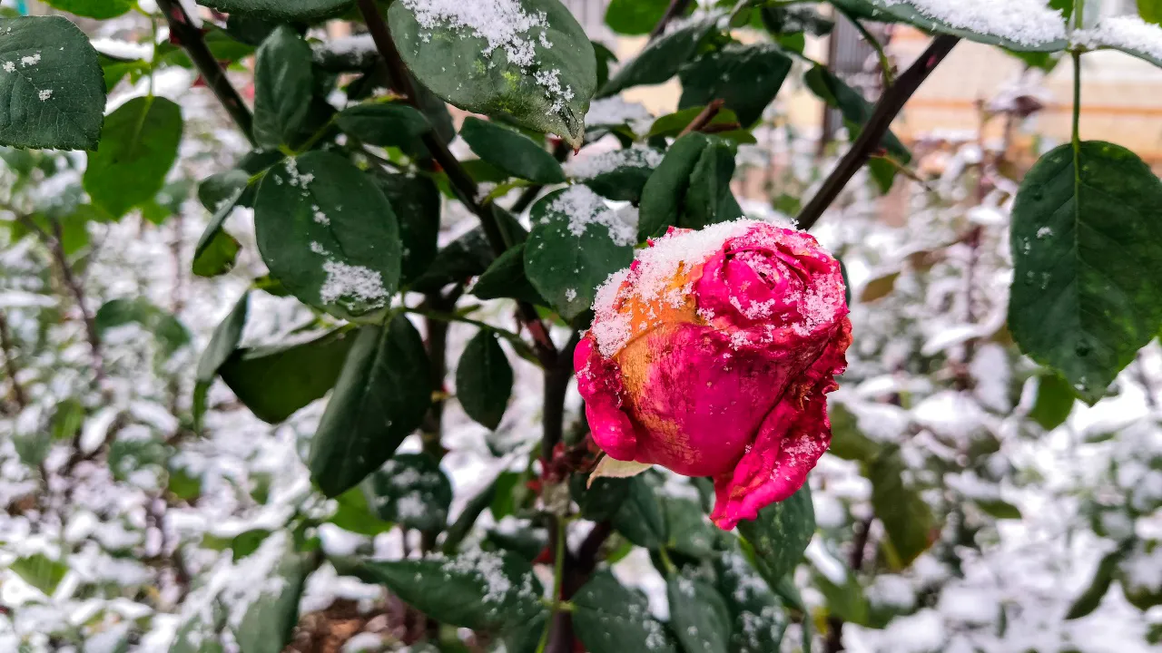 REGIONS/Евгений Мазепов