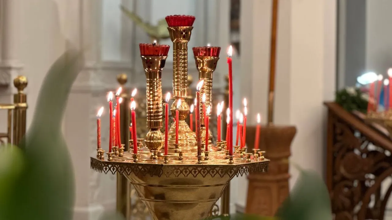 Фото: пресс-служба губернатора и правительства Московской области