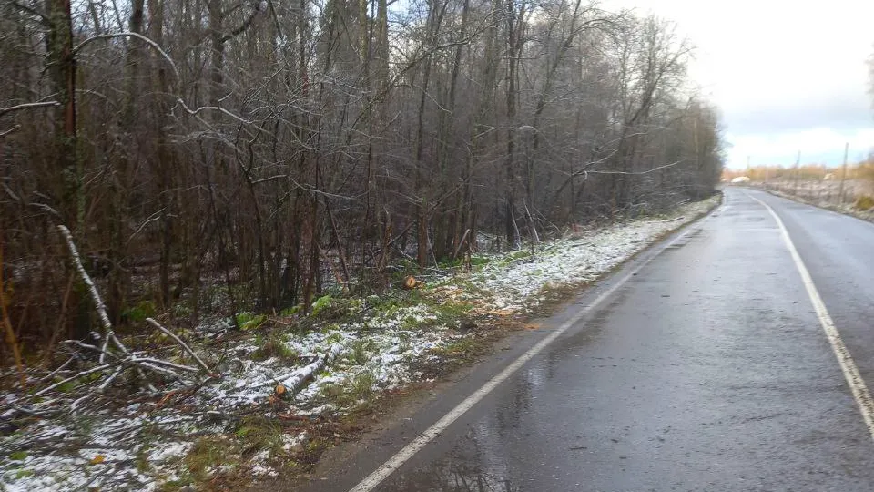 Фото: Администрация Рузского г.о.