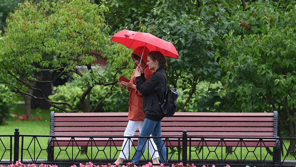 Фото: медиасток.рф