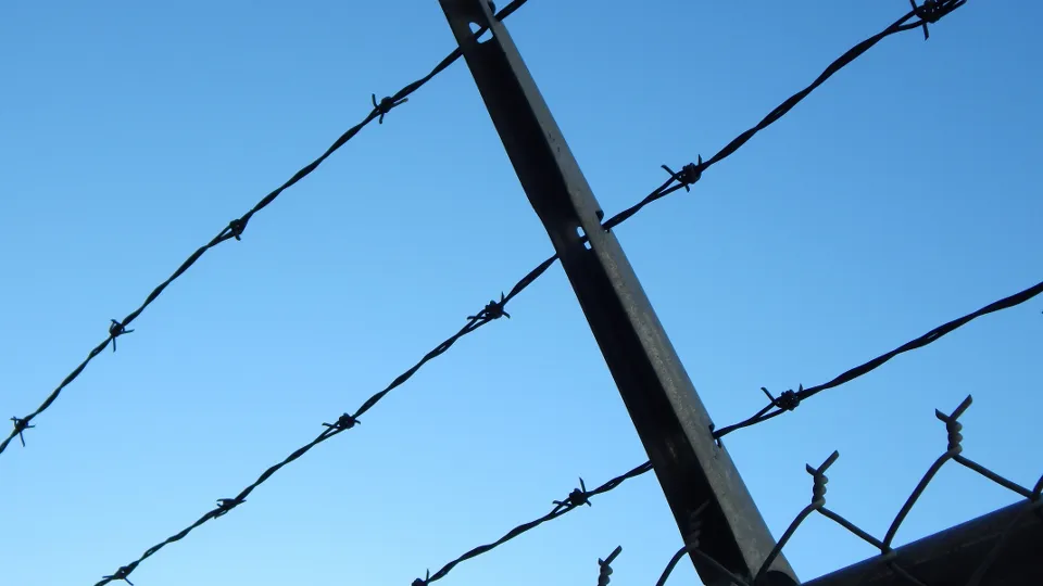 Фото: pxhere.com