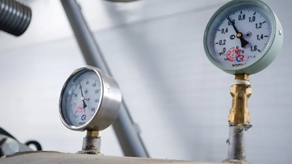 Фото: пресс-служба администрации г.о. Кашира