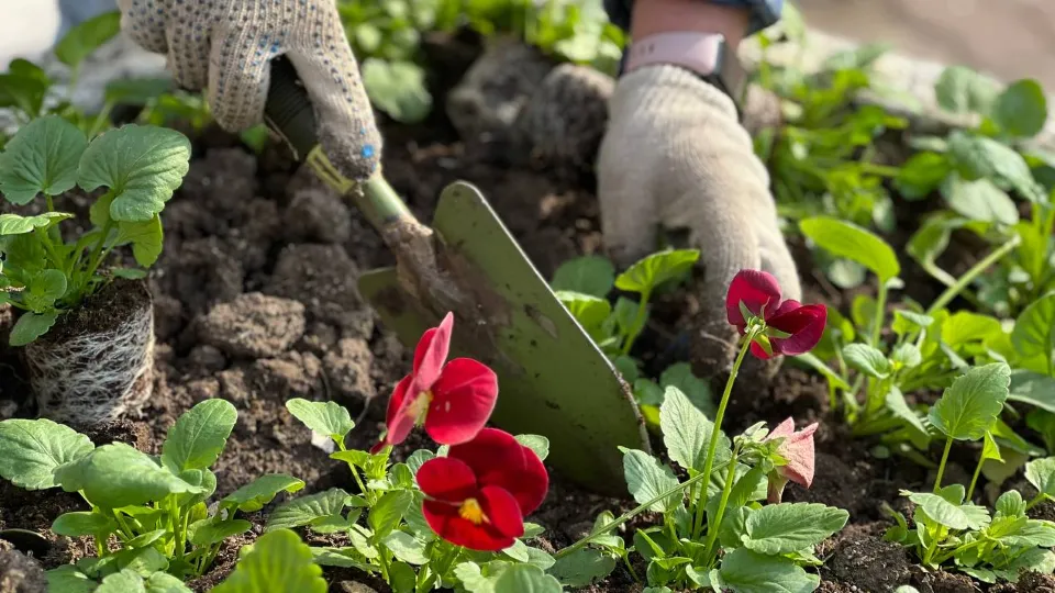 Фото: МедиаБанк Подмосковья/Галина Добрынина