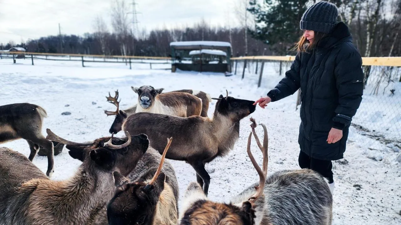 REGIONS/Мария Панина