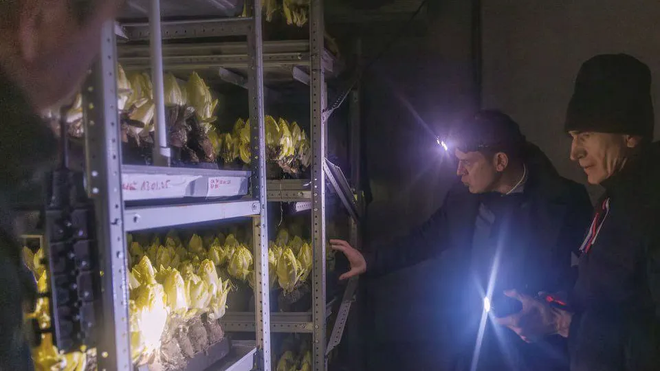 Фото: Министерство сельского хозяйства и продовольствия Московской области