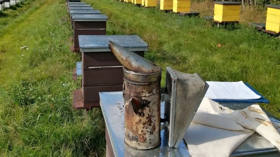 Фото: pxhere.com