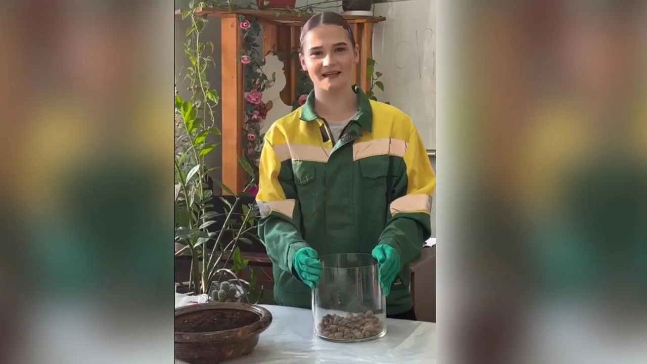 Щелковский колледж