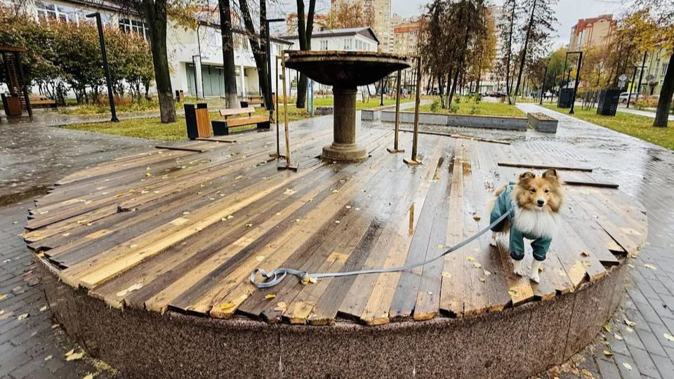 Фото: МедиаБанк Подмосковья/Ольга Стаферова