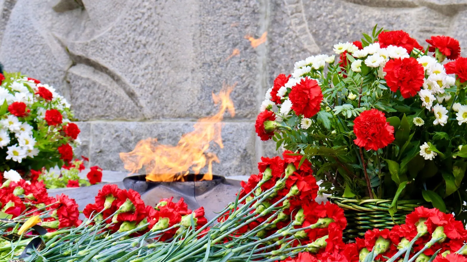 Фото: пресс-служба администрации г.о. Ступино