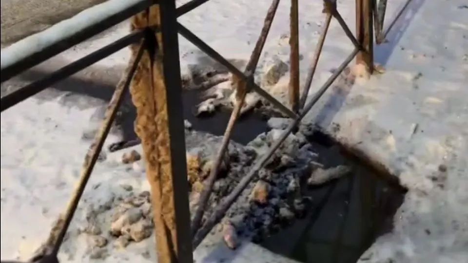 Фото: управление экологии городского округа Мытищи