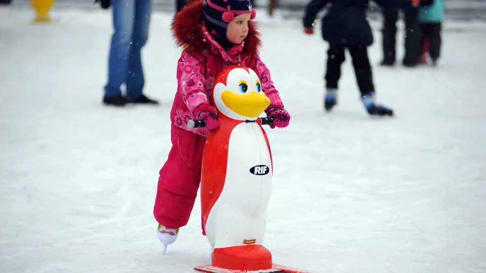 Фото: медиасток.рф