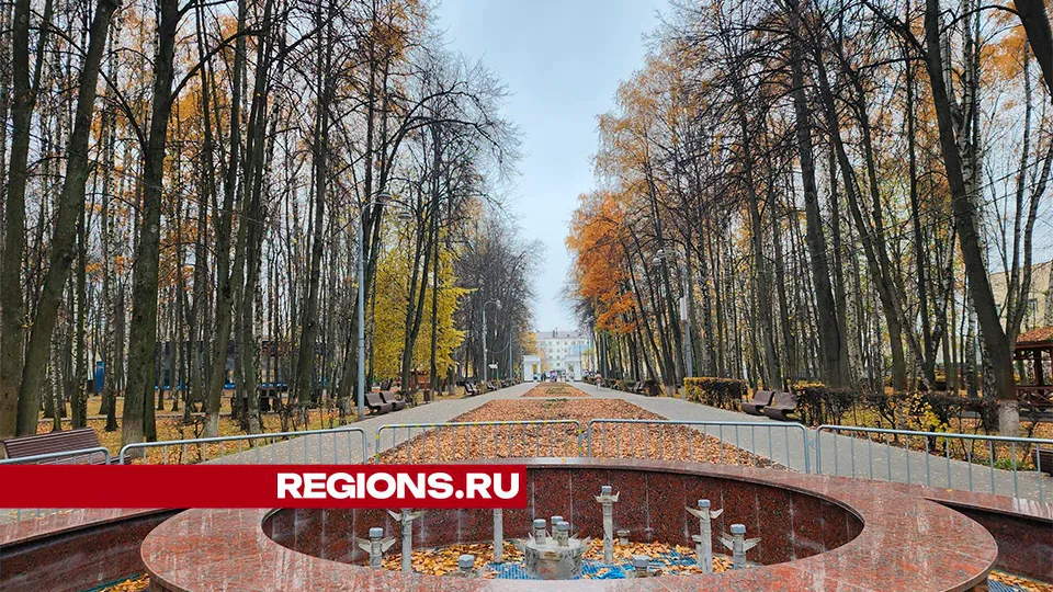 Фото: Роман Савельев