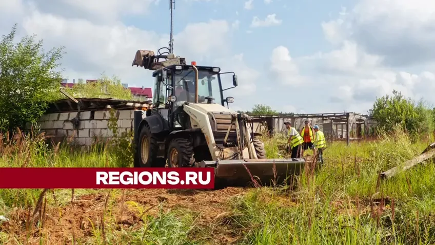 Фото: Михаил Дорошин