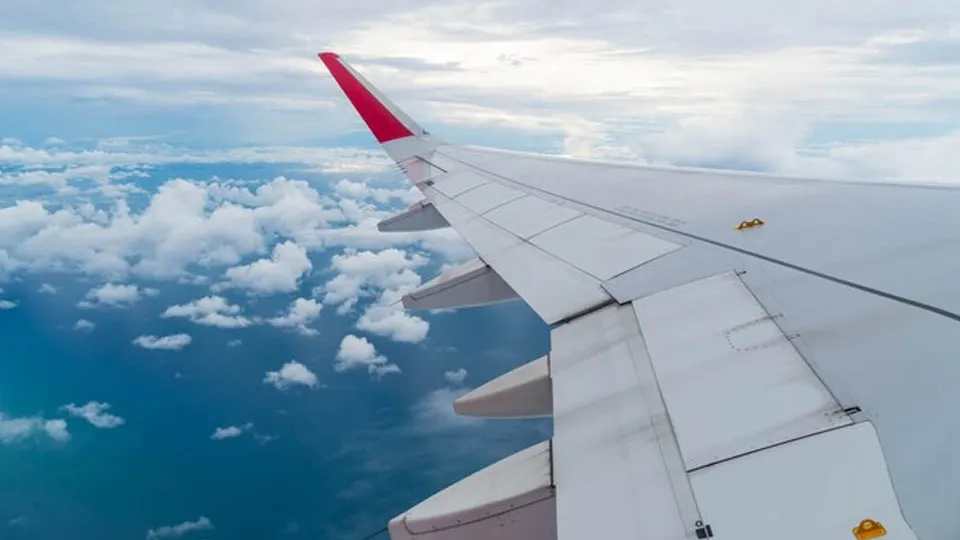 Фото: freepik.com