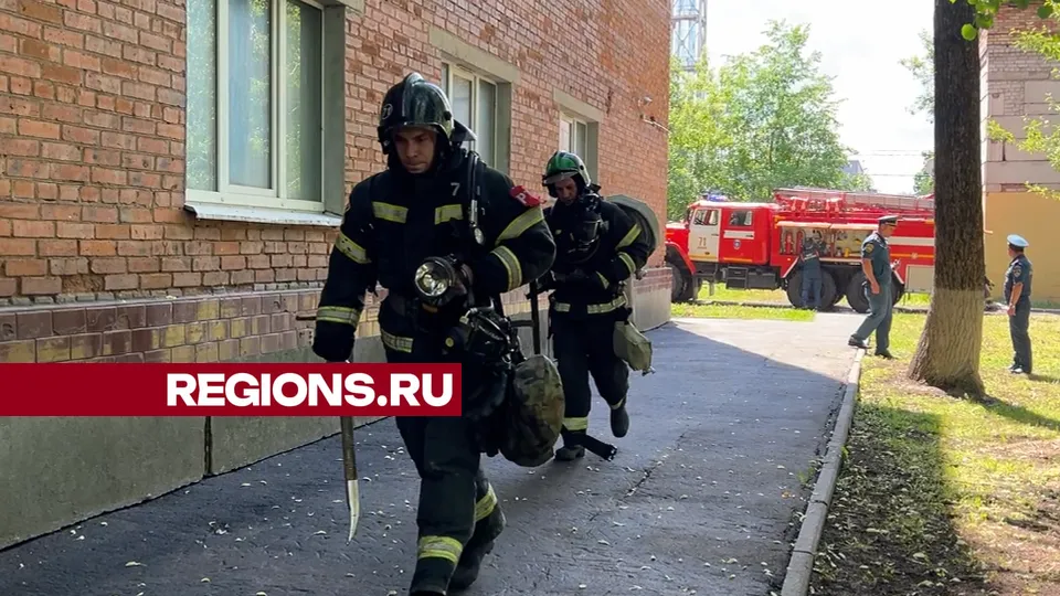 Фото: REGIONS/Валерия Ерофеева