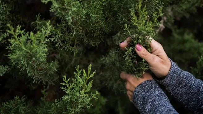 Фото: ru.freepik.com