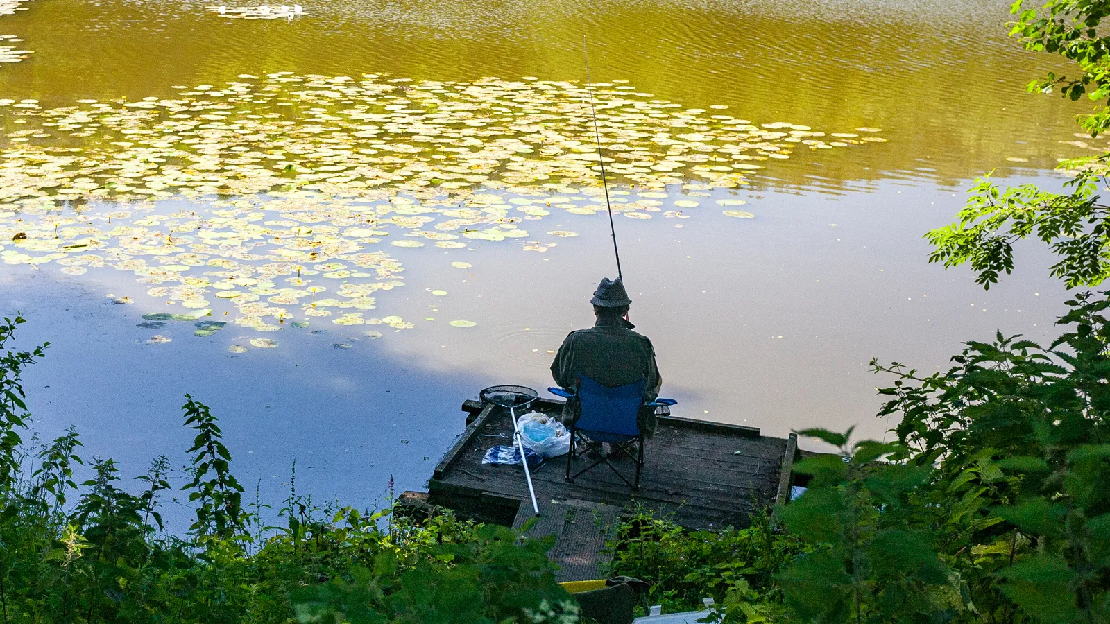 Фото: freepik.com