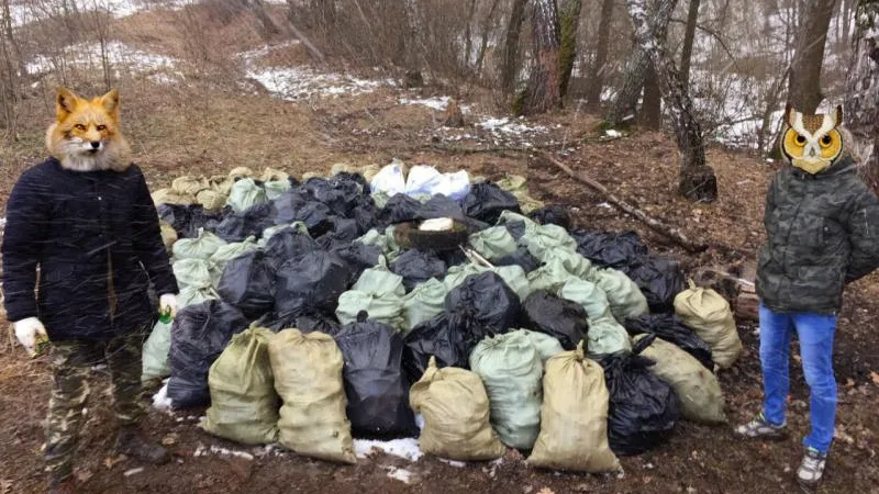 Clean Forest / vk.com