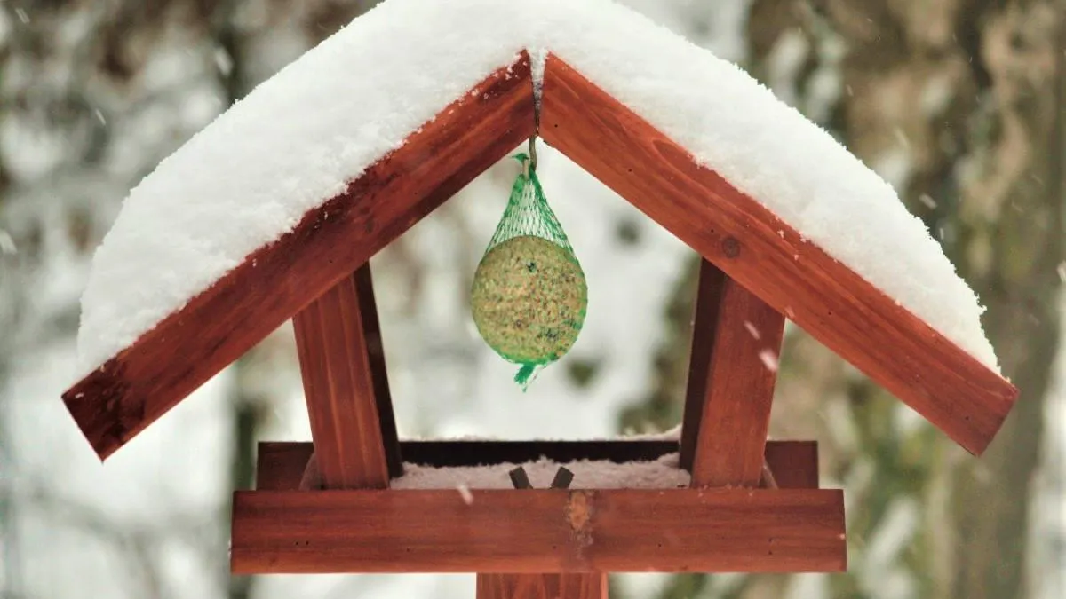 Фото: pxhere.com