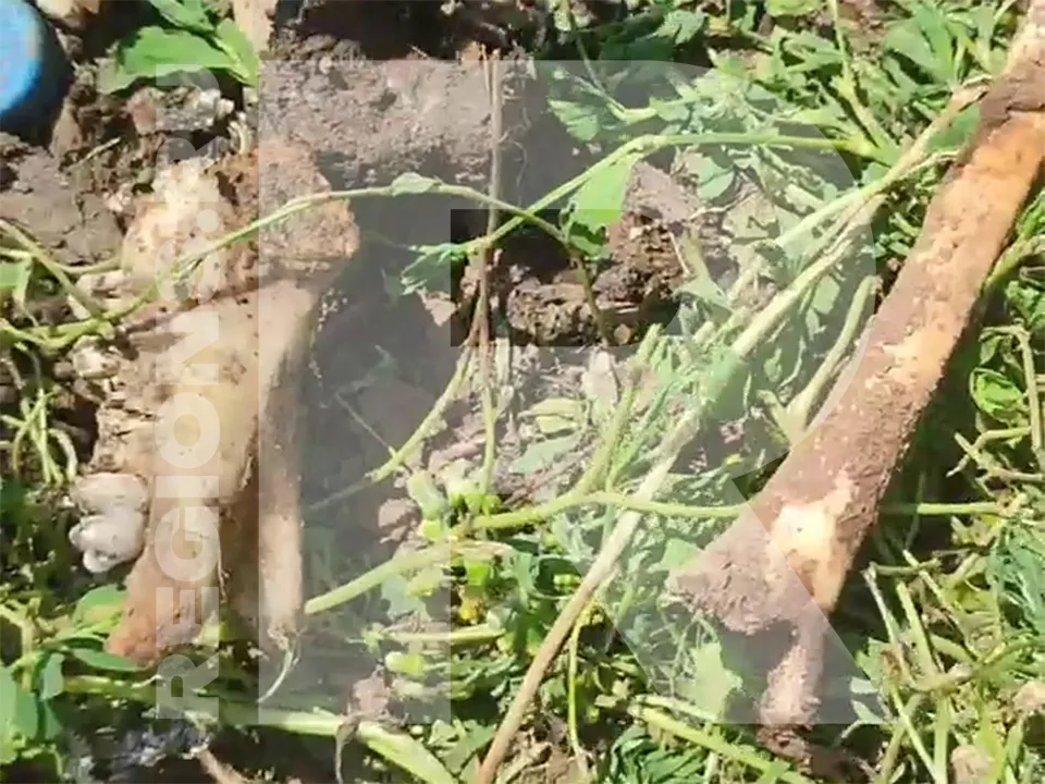 Фото предоставлено волонтером Ксю