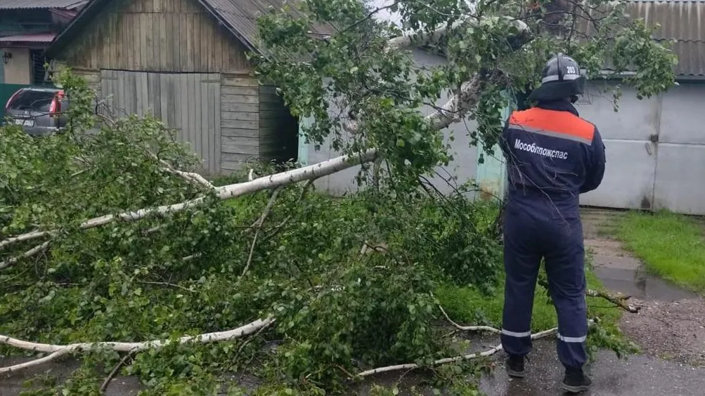 Фото: ГКУ МО «Мособлпожспас»