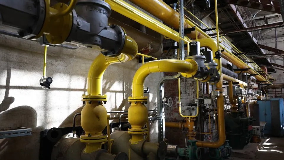 Фото: пресс-служба администрации Павлово-Посадского г.о.