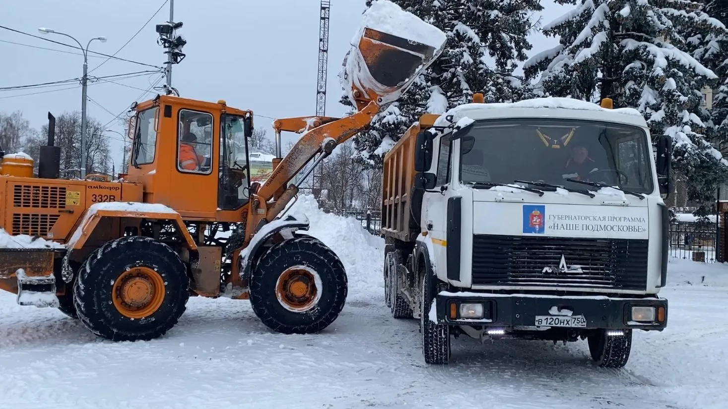 Анна Артюшина