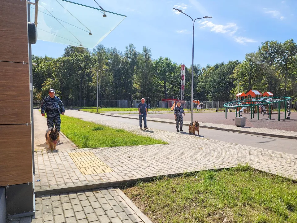 Фото: Мария Андрюхина