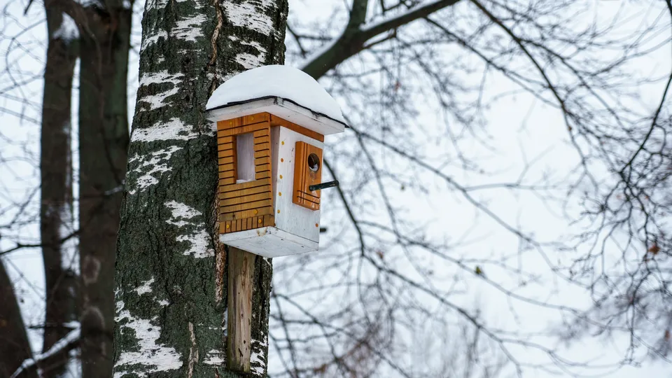 Фото: медиасток.рф