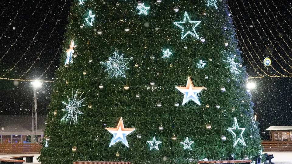 Фото: медиасток.рф