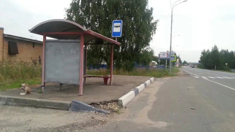 ПОДСЛУШАНО в Ногинске / ВКонтакте
